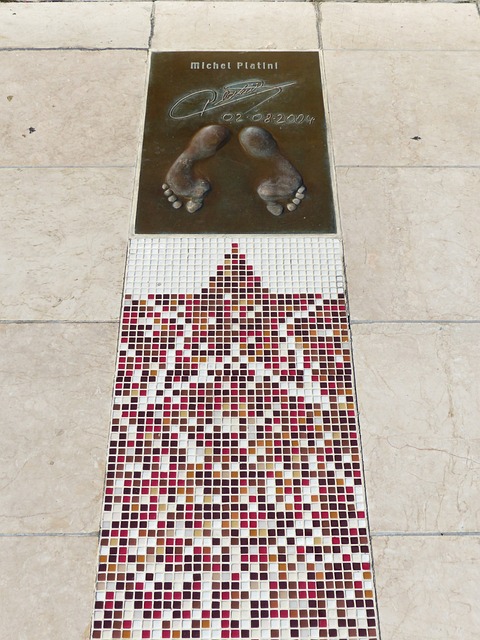 条的背后是 条的背后是