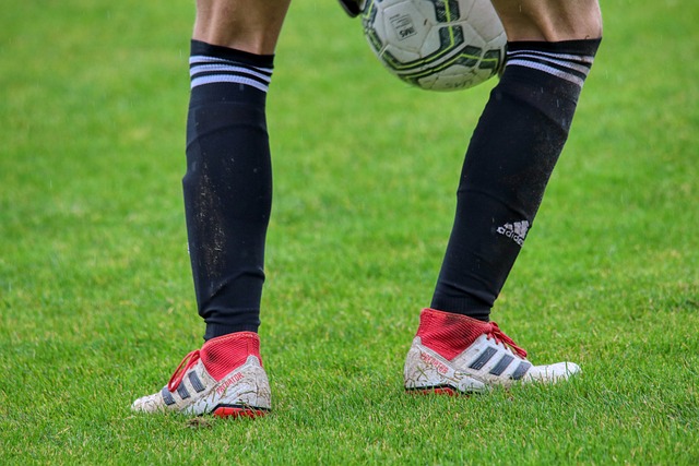 亮眼表现不 亮眼表现不